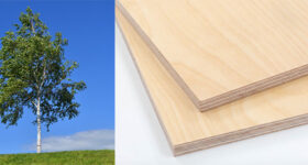 Tablero Contrachapado de Abedul